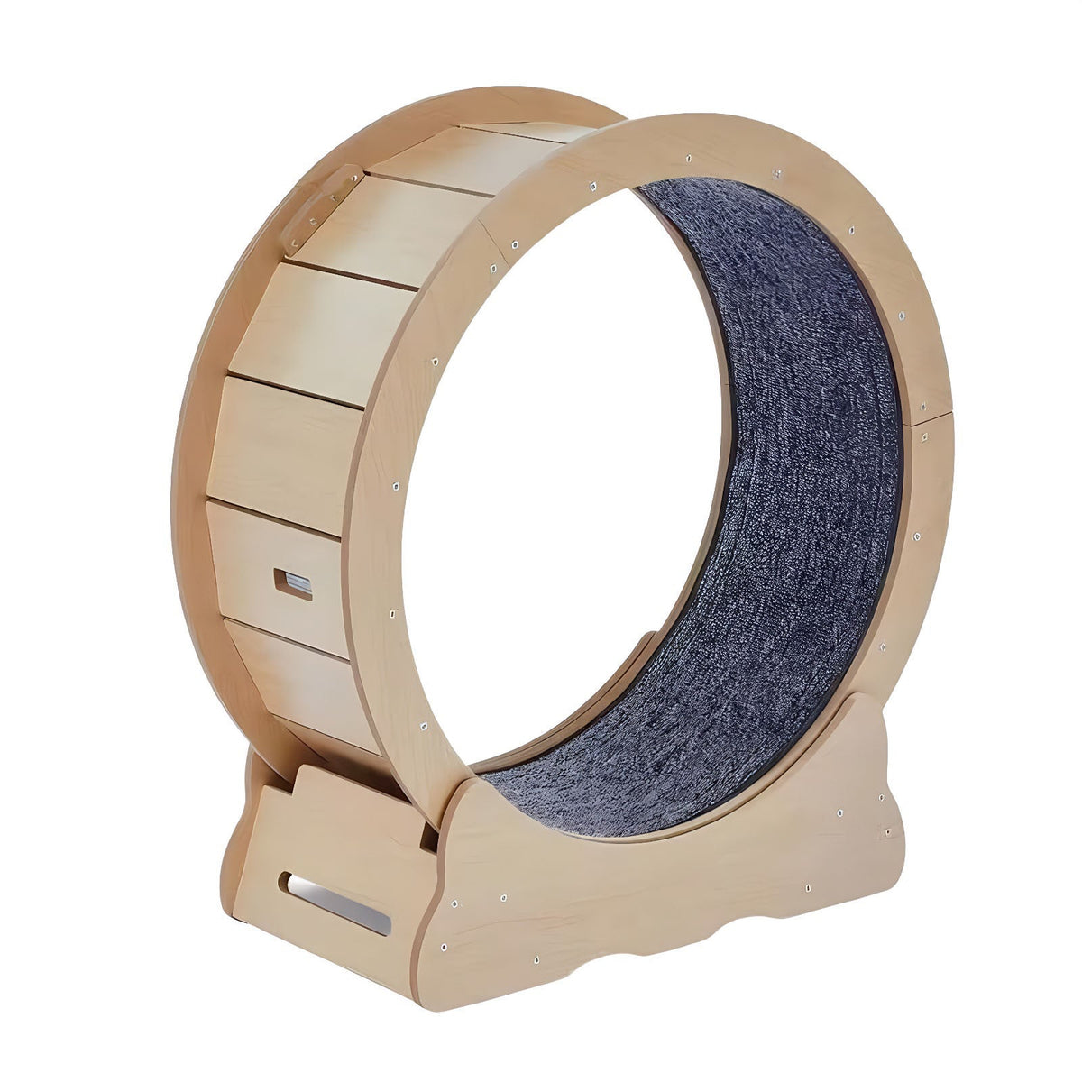 Large Indoor Cat Exercise Wheel with Detachable Carpet