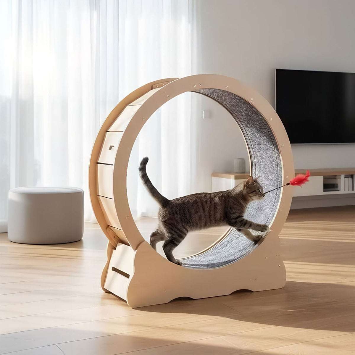 Large Indoor Cat Exercise Wheel with Detachable Carpet
