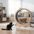 Large Indoor Cat Exercise Wheel with Detachable Carpet