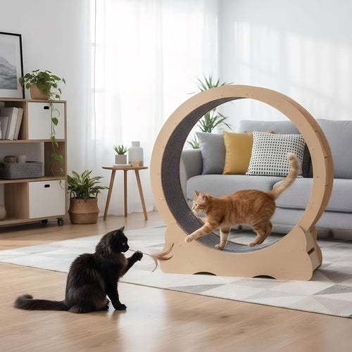 Large Indoor Cat Exercise Wheel with Detachable Carpet
