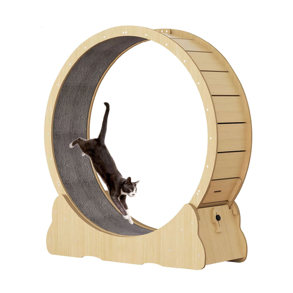 Large Indoor Cat Exercise Wheel with Detachable Carpet